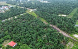 Jenjarom, Selangor 42600