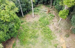 Bentong, Pahang 28750