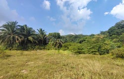Jalan Setia Jaya, Kapar, Selangor 42200