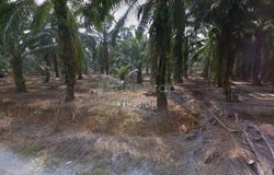 Telok Panglima Garang, Selangor 42500