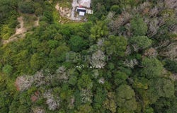 Hulu Langat, Selangor