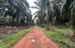Sungai Petani, Kedah 8000