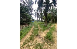 Senai, Johor 81400