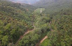 Kuala Kangsar, Perak 33000