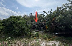 Dungun, Terengganu 23000