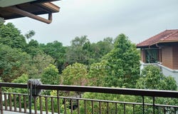 Ara Damansara, Ara Damansara, Selangor 47301