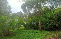 Hulu Langat, Selangor 43100