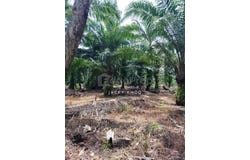 Jenjarom, Selangor 42600
