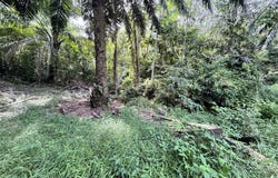Rembia, Alor Gajah, Melaka 78000