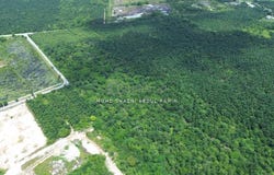 Kuala Langat, Selangor 41200