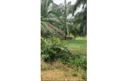 Jenjarom, Selangor 42600