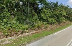 Pekan Nanas, Johor 81500