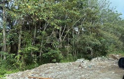 Kulai, Johor 81000
