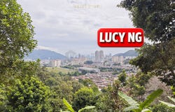 Relau, Penang 11900