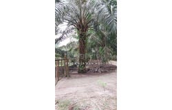 Batu Gajah, Perak 31550