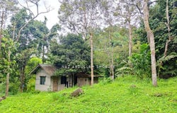 Bentong, Pahang 28750