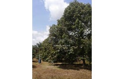 Kulai, Johor 81000