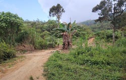 Semenyih, Selangor 43500