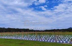 Taiping, Perak