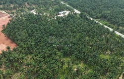 Kuala Kangsar, Perak 31100
