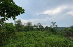 Bandar Puncak Alam, Selangor 42300