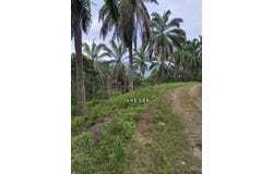 Taiping, Perak