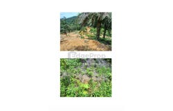 Lipis, Pahang 27200