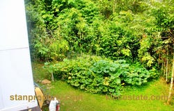 Jalan Kampung, Bentong, Pahang 28750