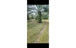 Sepang, Selangor 43900