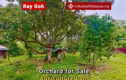 M, Mantin, Negeri Sembilan 71700