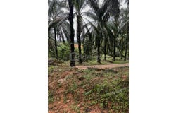 Sungkai, Perak 35600