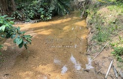 Kuala Kangsar, Perak 31100