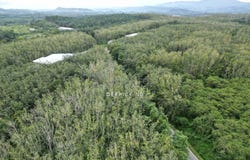 Kubang Pasu, Kedah 6000