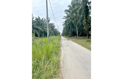 Kuala Selangor, Selangor 45600