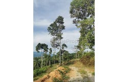 Pulau Kamiri, Kuala Kangsar, Perak 31100
