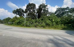 Jalan Tamu, Batang Kali, Selangor 44300