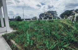Johor Bahru, Johor 81300
