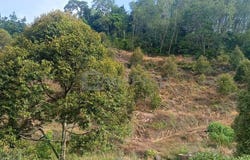 Hulu Perak, Perak