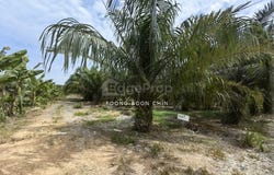 Kuala Langat, Selangor 41200