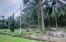Batu Pahat, Johor Bahru, Batu Pahat, Johor 83000