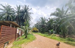 Kuala Selangor, Selangor 45600