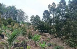 Hulu Perak, Perak