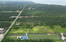 Kuala Selangor, Selangor 45800