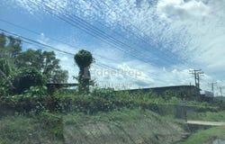 Kota Kinabalu, Sabah 88450