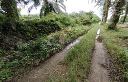 Banting, Selangor 42700