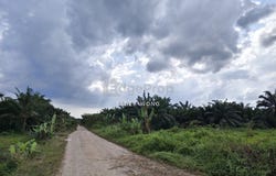 Pontian, Johor 82100