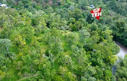 Jalan Teluk Bahang, Balik Pulau, Penang 11000