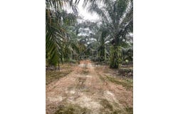 Sepang, Selangor 43900