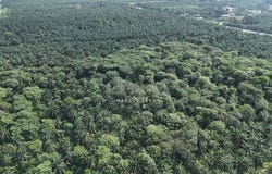 taiping, Taiping, Perak 34000