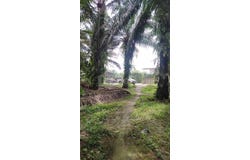 Jenjarom, Selangor 42600